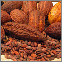 Плоды какао и какао-бобы